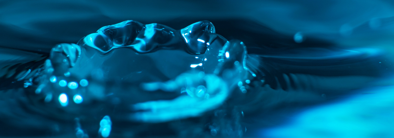 La bataille de l'eau La bataille de l'eau