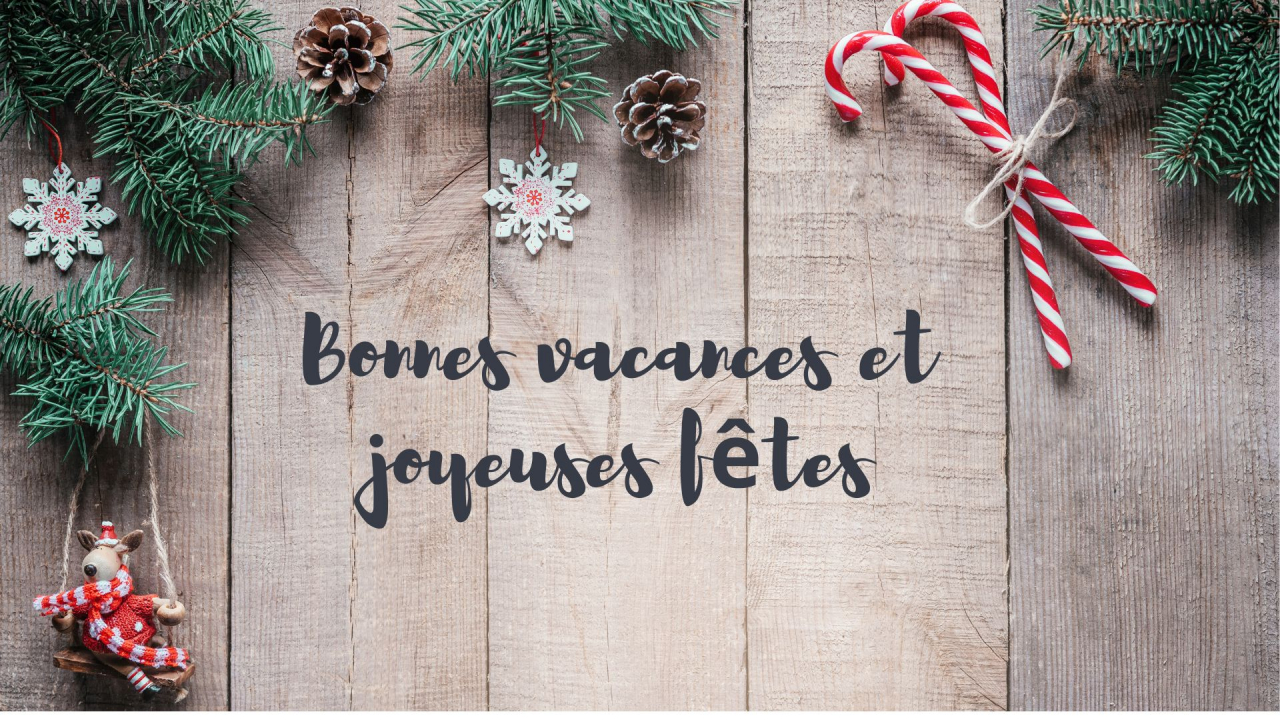 L'ENSEGID vous souhaite de joyeuses fêtes de fin d'année ! 
