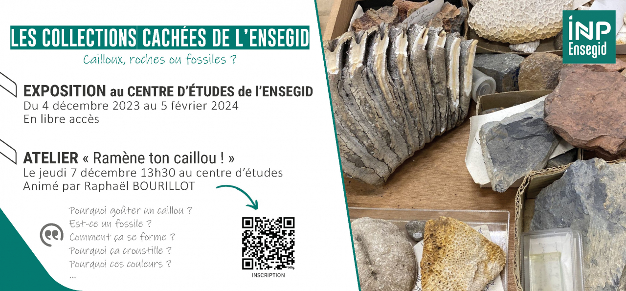 Les collections cachées de l'ENSEGID : cailloux, roches ou fossiles ? Les collections cachées de l'ENSEGID : cailloux, roches ou fossiles ?