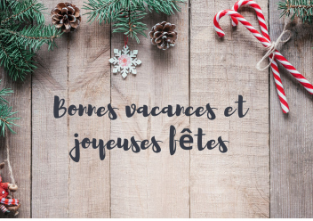 L'ENSEGID vous souhaite de joyeuses fêtes de fin d'année ! 