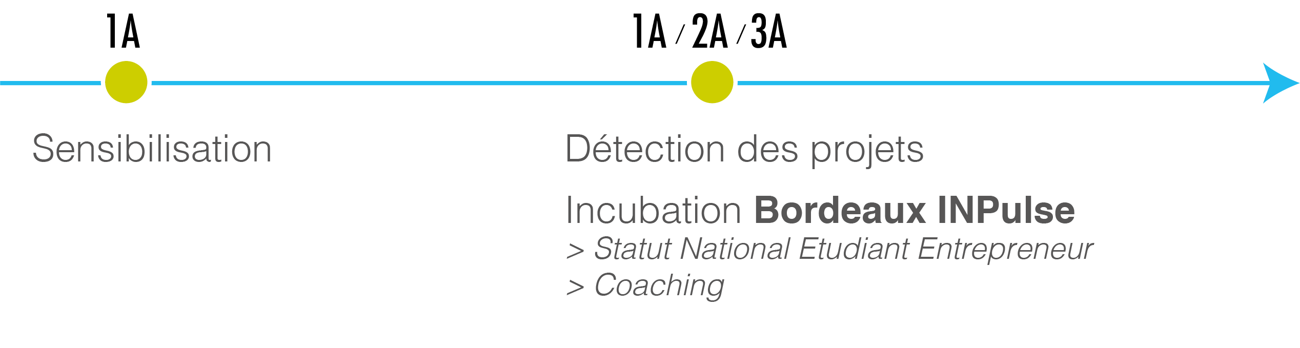 Déroulement du parcours Entrepreneuriat entrepreneuriat_processus.png